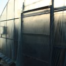 늘푸른농장 1 이미지