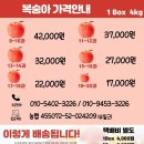 국촌농장 네이버블로그