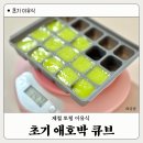 초기 이유식 애호박 큐브 만들기 보관방법 궁합