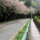 일운약수터 Daum카페