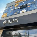 [용인/처인구] 양지고메 후기 (호암미술관 근처 맛집 추천!)