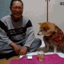 주인 이미지