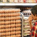 전북계란영농조합 이미지