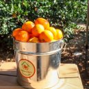 하율농장 이미지