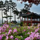 남교선녀마을 이미지