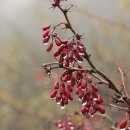 제주해양과학관 (아쿠아플라넷) 이미지