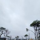 그린바움캠핑장 이미지