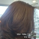강동역 미용실 맞춤형 모발 클리닉 루잇 힐링 서비스 이철헤어커커 강동역점