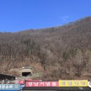 서울식당 | 단양 고수동굴맛집 서울식당 진짜 솔직한후기