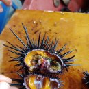 난드르 통나무집 이미지