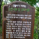 금원산 생태수목원 산책