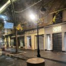 버스 | 니스에서 피렌체 『 FLIX BUS (플릭스 버스) 』 후기