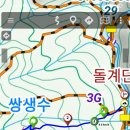쌍생수 이미지