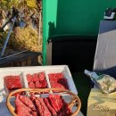 와우영농조합법인 이미지