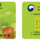 국적행정사사무소 이미지