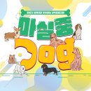 마실중DOG! 반려동물 산책 같이해요~! 이미지