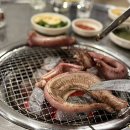 늘방실꼼장어