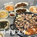 미야뒷고기