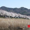 화산천 이미지