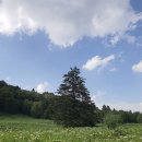 길림여행사 - 용인시 처인구 금령로85번길 9-1 | 부산출발 백두산 여행 북파 서파 후기 노팁 노옵션 노쇼핑
