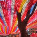 나무와풍경 | 조계사 연등 🌸 안국역 가볼만한곳 (500년 회화나무 &amp; 연등 풍경 후기)