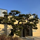 한가향 | 한가향 | 도봉구 한정식 코스, 가족모임, 내돈내산 후기