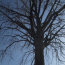 함안 생육신 조려유적 이미지