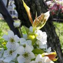 은한농장 이미지