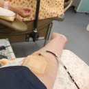 주차52 | 제주 헌혈의집 신제주센터 52번째 혈장 헌혈 후기 및 주차 정보