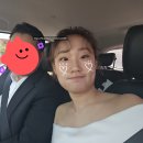 미로플라워