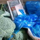 은빛농장 이미지