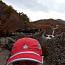 지리산 청학동 상불재1183m 단풍산행: 단풍 낙엽늪 유영 고행 이미지