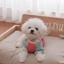 제스퍼우드공방