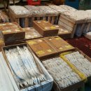 중앙선어시장 이미지