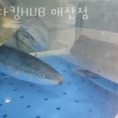 매산초등길 네이버블로그