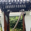 우림당구클럽 | 다낭 인터컨티넨탈 오션뷰 4베드 룸 풀빌라