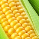 엉클박스 이미지