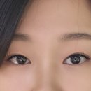 올데이래쉬 이미지
