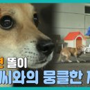 똘이 이미지