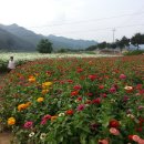 명희네 - 성북구 오패산로3길 52 | 명희네