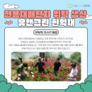 계룡산한의원 | 계단 내려갈 때 무릎 찌릿하다면? 대전에서 30대도 겪는 무릎통증 후기