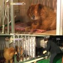 삼부자농장 이미지