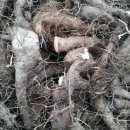 아미산농장 이미지