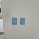 야리로+새실로+야리로 이미지