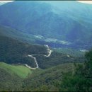 북동010 | [낙동정맥 7] 배내재→능동산→가지산→외항리(00.09.17)