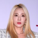 씨네캠프엔터테인먼트