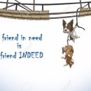 Friend-친구 이미지