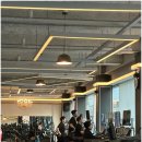 문라이트짐 이미지