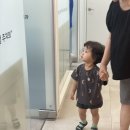 서울더키즈치과의원 이미지