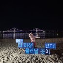 청월별마당 | 2025년 일상 기록 2탄